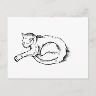 Kat Slapende Illustratie Pen Tekening Kunst Briefkaart