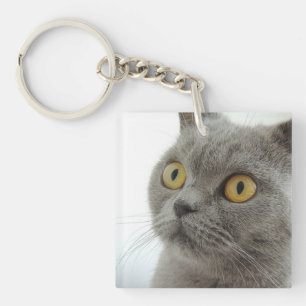 kat sleutelhanger