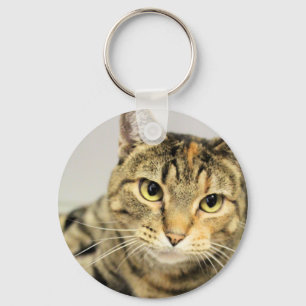 Kat sleutelhanger