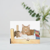 Kat Slumber Partij Briefkaart (Staand voorkant)