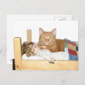 Kat Slumber Partij Briefkaart (Voorkant / Achterkant)