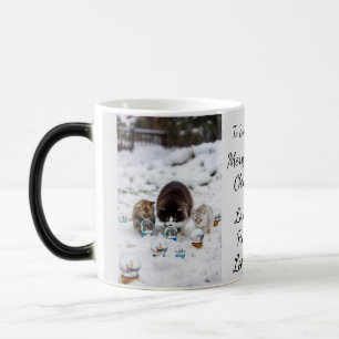 Kat Sneeuwbol, Afbeeldingsnamen Tekst, Aanpassen, Magische Mok