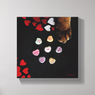 Kat Snoep Hart 8 x 8 inch omgepakt Canvas Afdruk