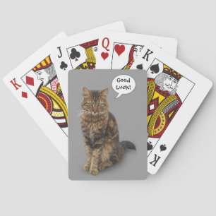 Kat Speelkaarten