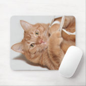 Kat speelt muismat (Met muis)