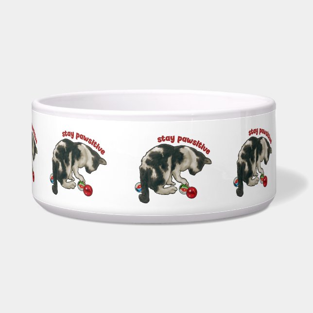 Kat spelen met knikkers, blijf positief, woordspel voerbakje (Rechts)