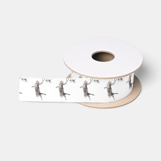 Kat-speltennis Lint (Spoel)