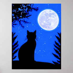 Kat staren naar de volle maan poster