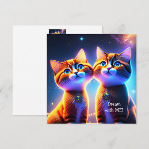 Kat-stel onder de sterrenhemel -