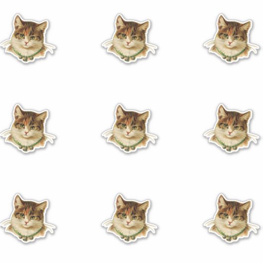  kat sticker (Voorkant)