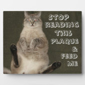 Kat "STOP LEZEN DEZE PLAQUE EN VOER ME" Plaque Fotoplaat (Voorkant)