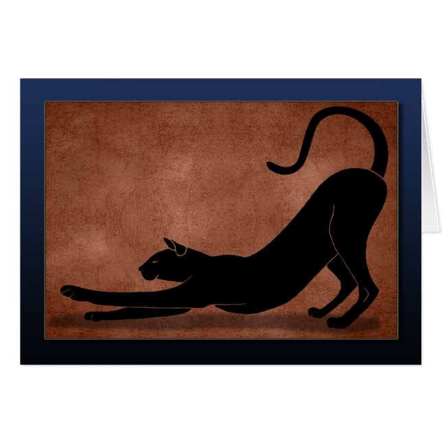 Kat Stretching - Blauw (Voorkant Horizontaal)