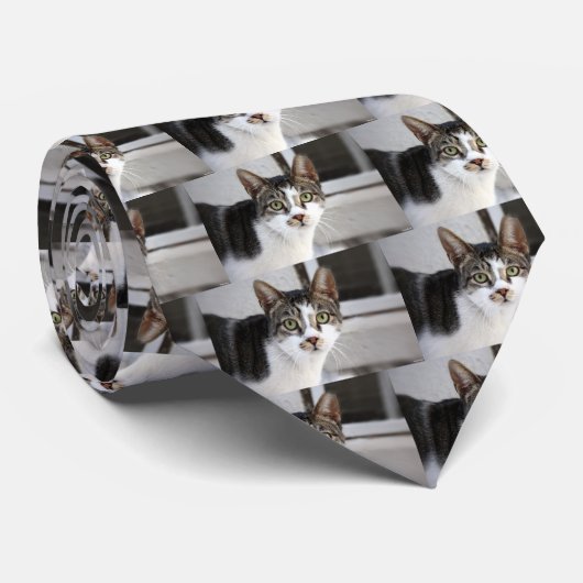 Kat Stropdas (Opgerold)