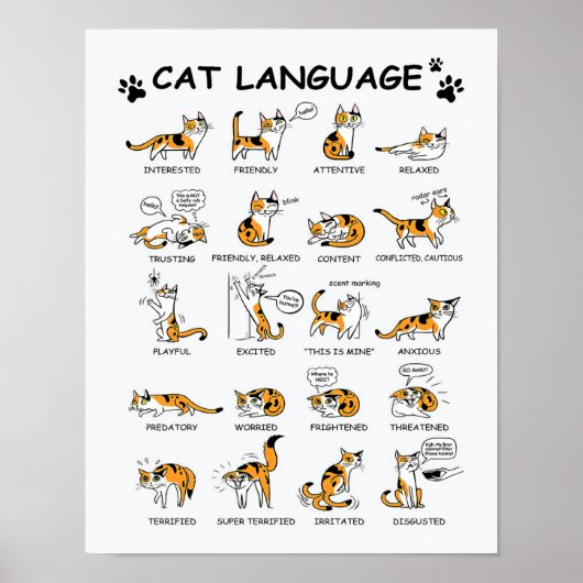 Kat-taal, grappige kat Kitten, liefdeskat-cadeauid Poster (Voorkant)