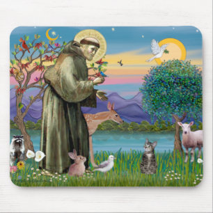 Kat (Tabby 2) - Sint Franciscus Muismat