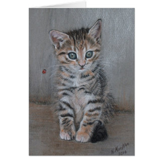 Kat, tabby kitten, gewoon poseren, mooie kunst.