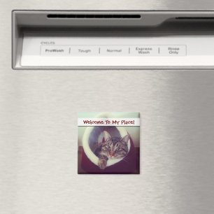 Kat tablet in Hut close-up foto Magneet