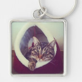 Kat tablet in Hut close-up foto Sleutelhanger (Voorkant)