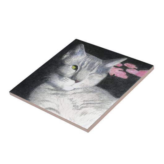 Kat Tegeltje (Zijkant)