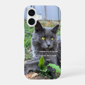 kat telefoonhoesje iPhone 16 hoesje