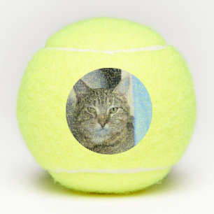 Kat Tennisballen