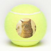 Kat Tennisballen (Achterkant)