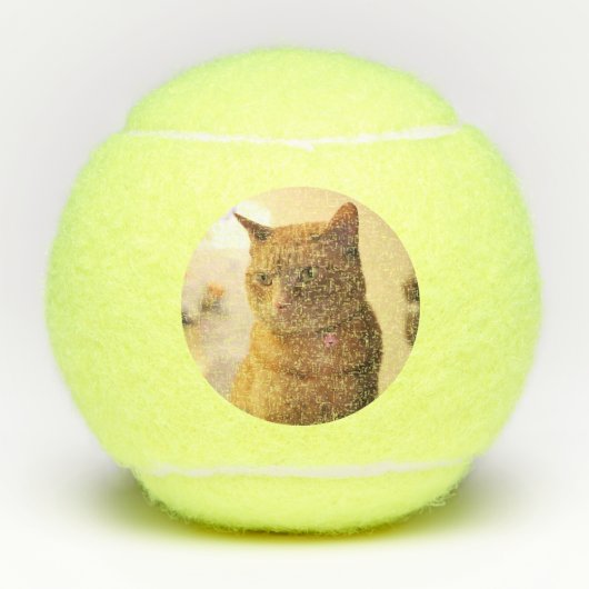 Kat Tennisballen (Voorkant)