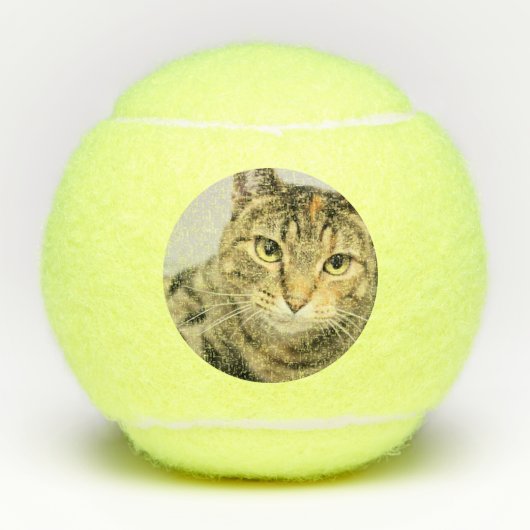 Kat Tennisballen (Voorkant)