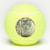 Kat Tennisballen (Achterkant)