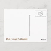 Kat Titanic Quote Briefkaart (Achterkant)