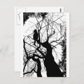 KAT TREE SILHOUETTE B&W BRIEFKAART (Voorkant / Achterkant)