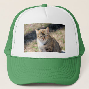 Kat Trucker Pet