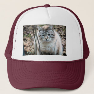 Kat Trucker Pet