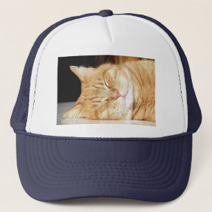 kat trucker pet