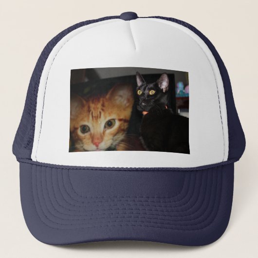 Kat Trucker Pet (Voorkant)