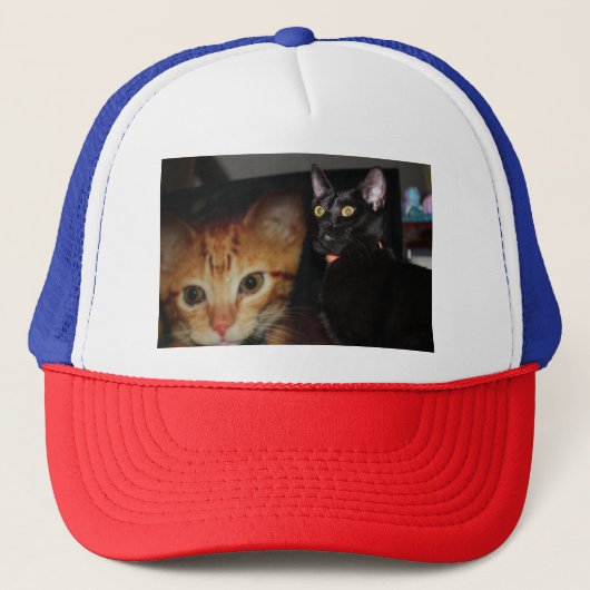 Kat Trucker Pet (Voorkant)