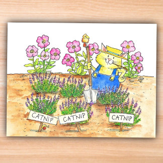 Kat Tuinman Briefkaart