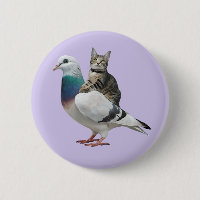 Kat tussen de duiven vliegende katten
