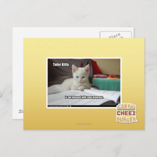 Kat Tutor Briefkaart (Voorkant / Achterkant)