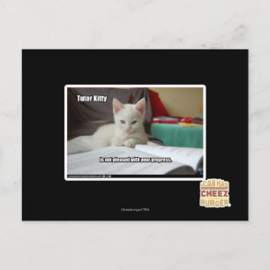 Kat Tutor Briefkaart
