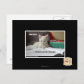 Kat Tutor Briefkaart (Voorkant / Achterkant)