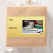 Kat Tutor Etiket (Insitu)