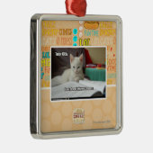 Kat Tutor Metalen Ornament (Rechts)