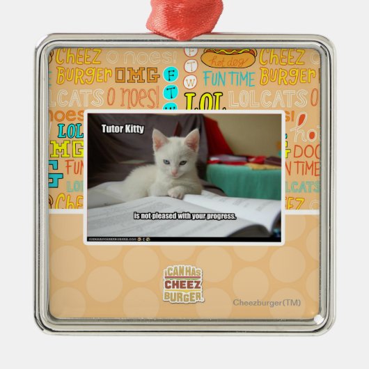 Kat Tutor Metalen Ornament (Voorkant)