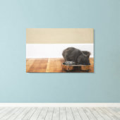 Kat uit de kom canvas afdruk (Insitu (Houten vloer))