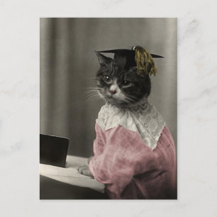 Kat Valedictorian Briefkaart