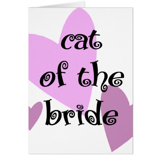 Kat van de bride (Voorkant)