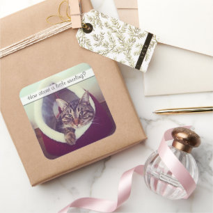 Kat van de cute tablet in de Sjabloon van de foto Vierkante Sticker