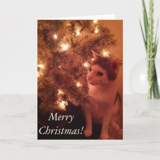 Kat van het Christmas Tree Wenskaart Feestdagen Kaart