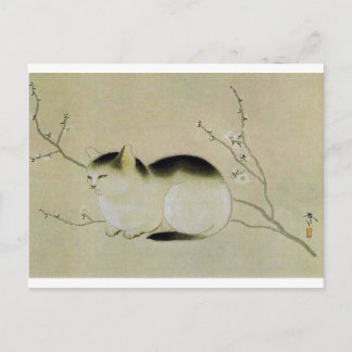 Kat van Hishida Shunso Briefkaart